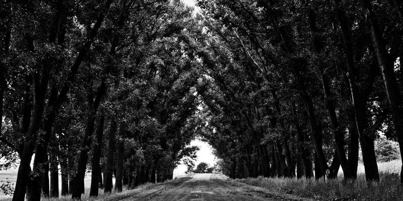 UX Research揭示信任构建密码：如何通过隐私设计、安全感知与透明度策略赢得User800信任