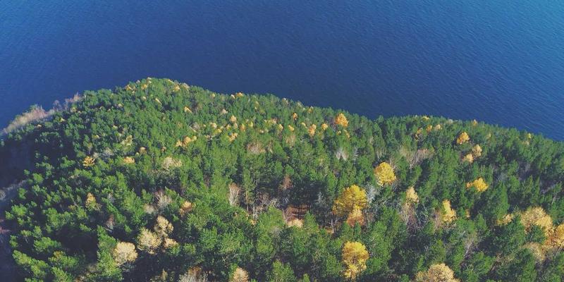 User800市场研究揭示：跨设备无缝体验的设计策略与核心挑战