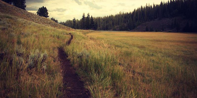 从Data Analysis到精准洞察：用户体验研究中可用性测试的实操方法与User800案例分析