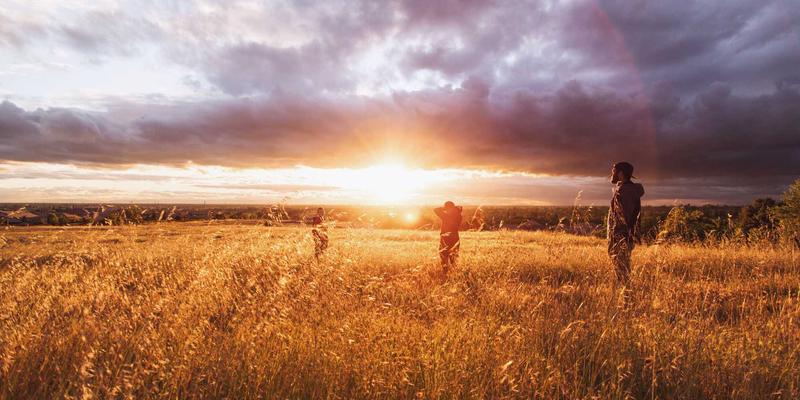 从市场调研到User800：如何通过UX研究打造卓越用户体验
