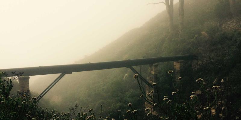 以消费者洞察驱动设计策略：市场研究如何重塑卓越用户体验