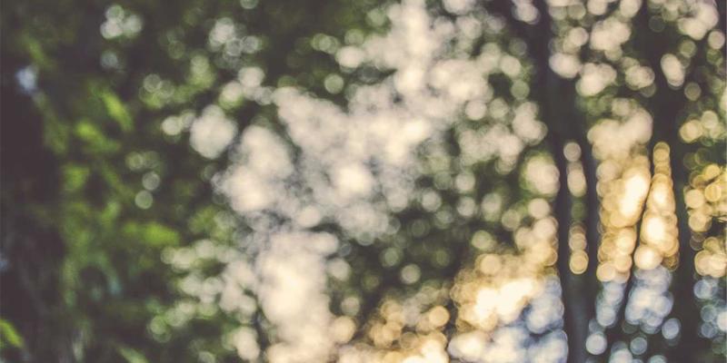 多感官用户体验设计策略：超越视觉与触觉的沉浸式交互研究