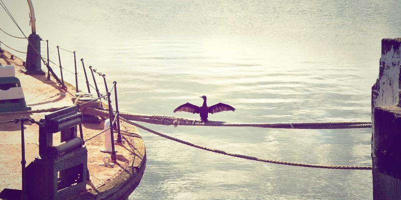 微交互设计：如何通过细节动画与反馈提升用户参与度和满意度