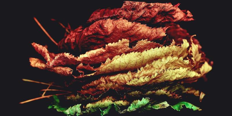 提升语音用户界面体验设计：对话流分析与自然语言处理的关键实践与User800消费者洞察