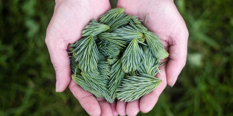 数据驱动用户体验优化：如何通过Data Analysis提升User800指标