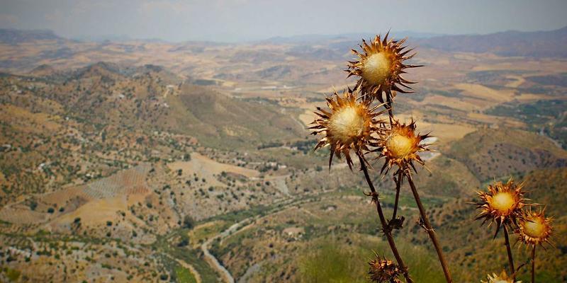 数据驱动设计：如何通过Data Analysis与Design Strategy打造卓越User Experience