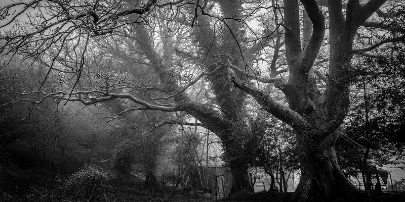 服务蓝图设计：连接用户体验与运营的战略性设计方法