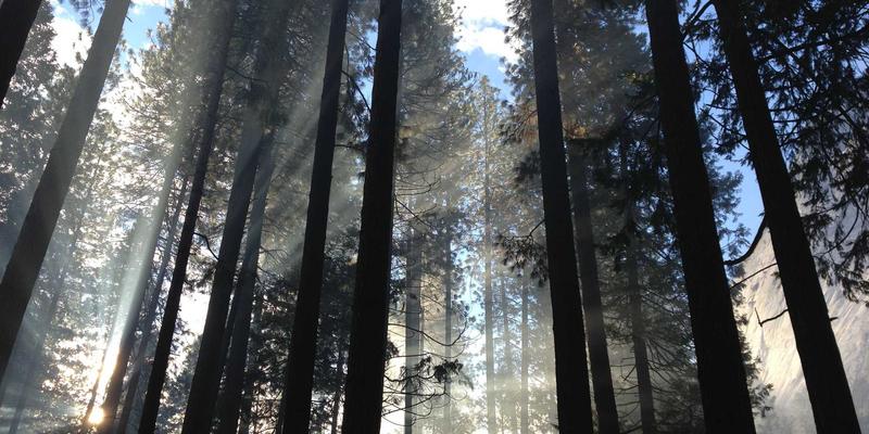 用户体验指标标准化：从HEART到GSM，建立可衡量的UX评估体系与设计策略