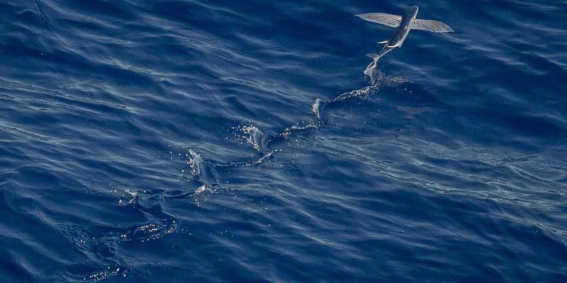 眼动追踪技术如何重塑UX研究与消费者洞察：解码视觉热点与注意力分布的数据奥秘