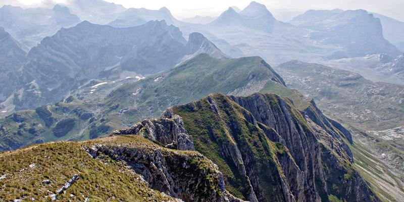 移动优先策略下的UX设计：基于市场研究与拇指操作习惯的设计策略