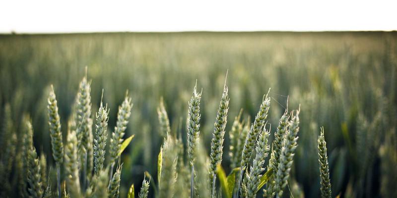 设计策略新视角：如何通过用户旅程地图与数据分析优化关键触点体验